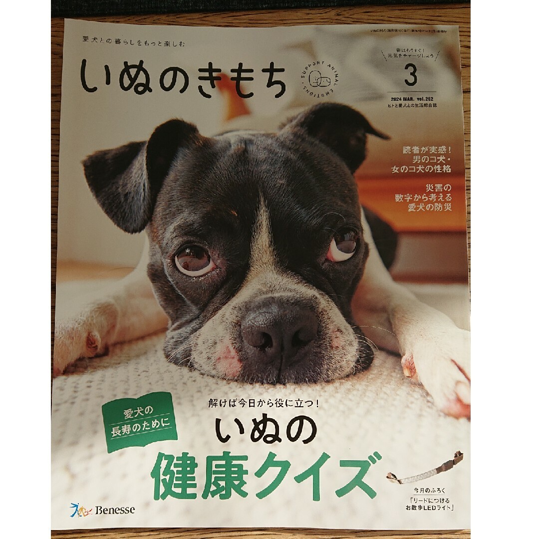 Benesse(ベネッセ)のいぬのきもち３月号 その他のペット用品(犬)の商品写真