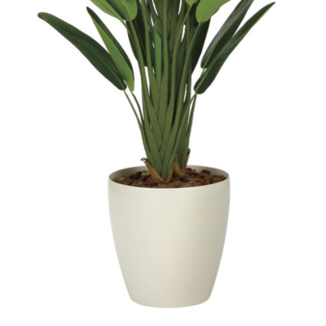 光触媒 人工観葉植物 フェイクグリーン フレッシュトラベラーズ 光触媒 人工観葉植物 フェイクグリーン フレッシュトラベラーズ