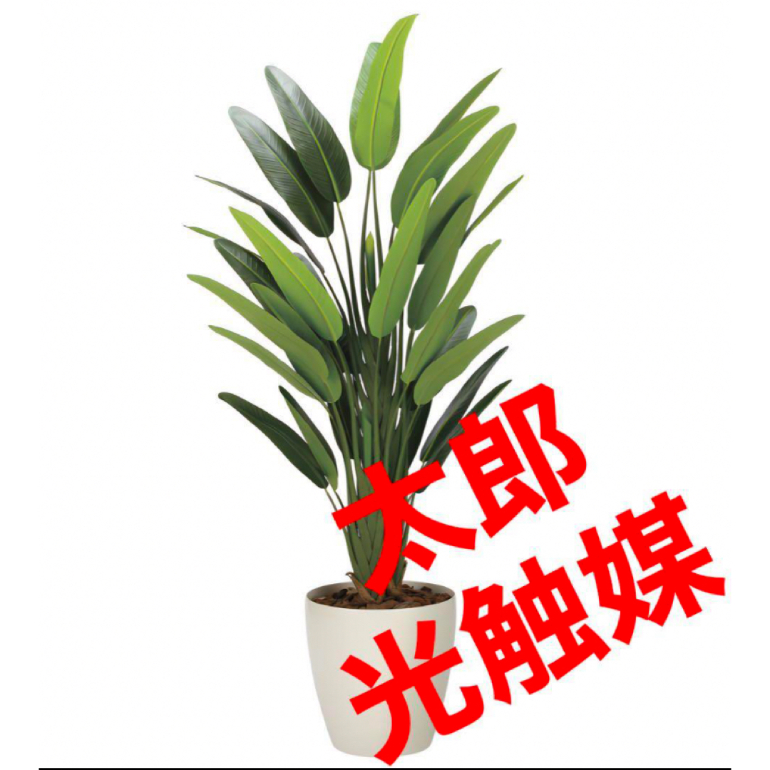 光触媒 人工観葉植物 フェイクグリーン フレッシュトラベラーズ 光触媒 人工観葉植物 フェイクグリーン フレッシュトラベラーズ