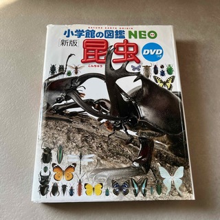 ショウガクカン(小学館)の昆虫　小学館の図鑑　NEO DVD付き(絵本/児童書)