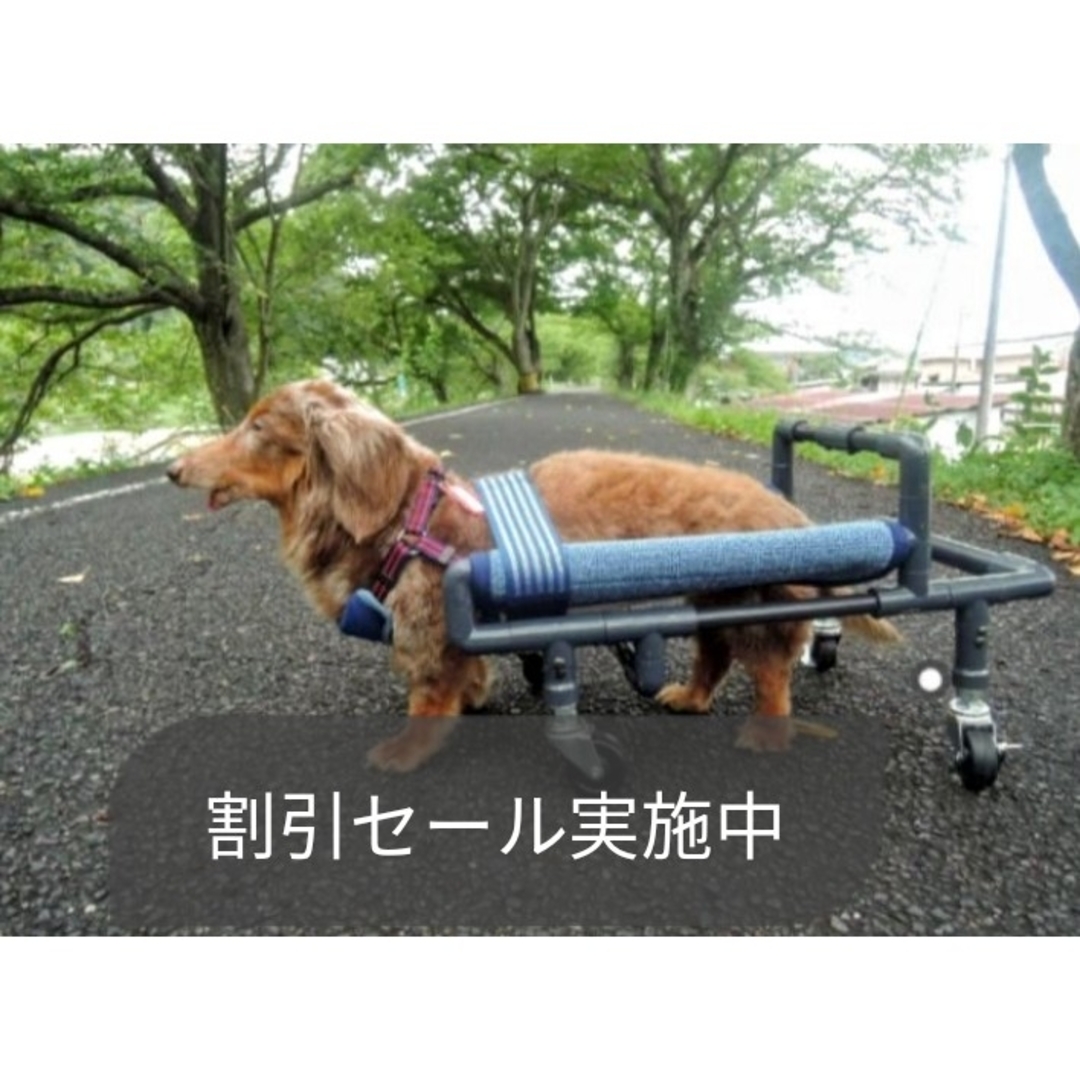 わんちゃん4輪 リハビリ 食事補助 犬用車椅子 歩行補助 犬の歩行器 わんちゃん4輪 リハビリ 食事補助 犬用車椅子 歩行補助 犬の歩行器