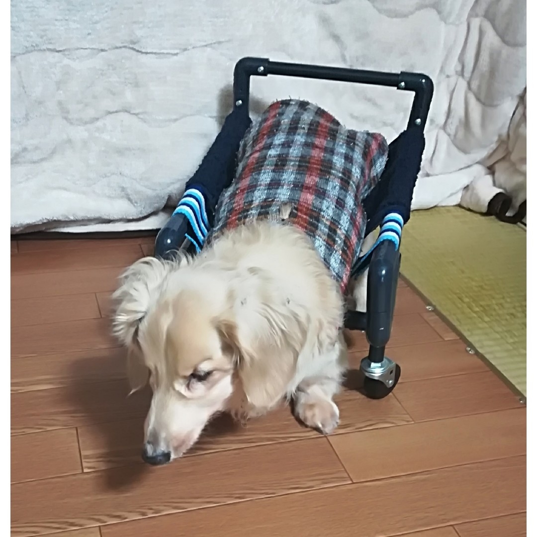 犬4輪歩行器、犬車椅子(シートタイプ)の通販 by ti-bou 's shop 犬4輪歩行器、犬車椅子(シートタイプ)の通販 by ti-bou 's shop