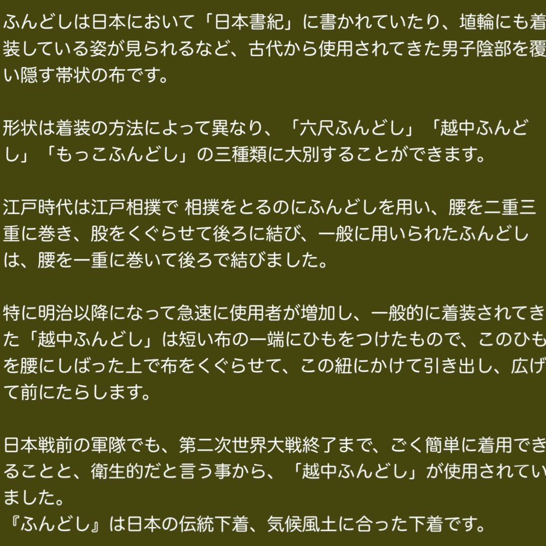 #ふんどし　#越中褌　#防臭　#吸汗　#消臭　#介護　#褌 メンズのアンダーウェア(その他)の商品写真