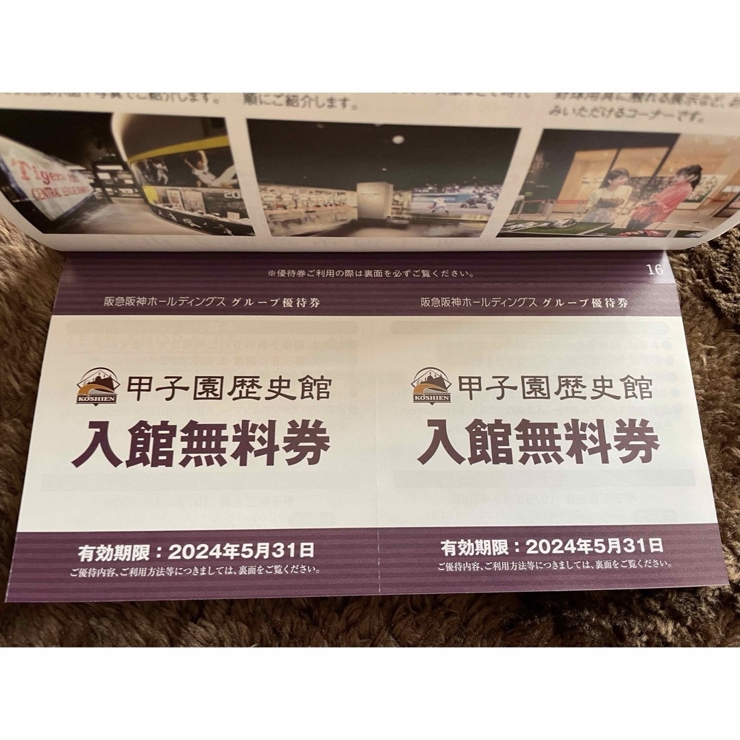 阪神タイガース(ハンシンタイガース)の阪急阪神　株主優待　グループ優待券　1冊 チケットの優待券/割引券(その他)の商品写真