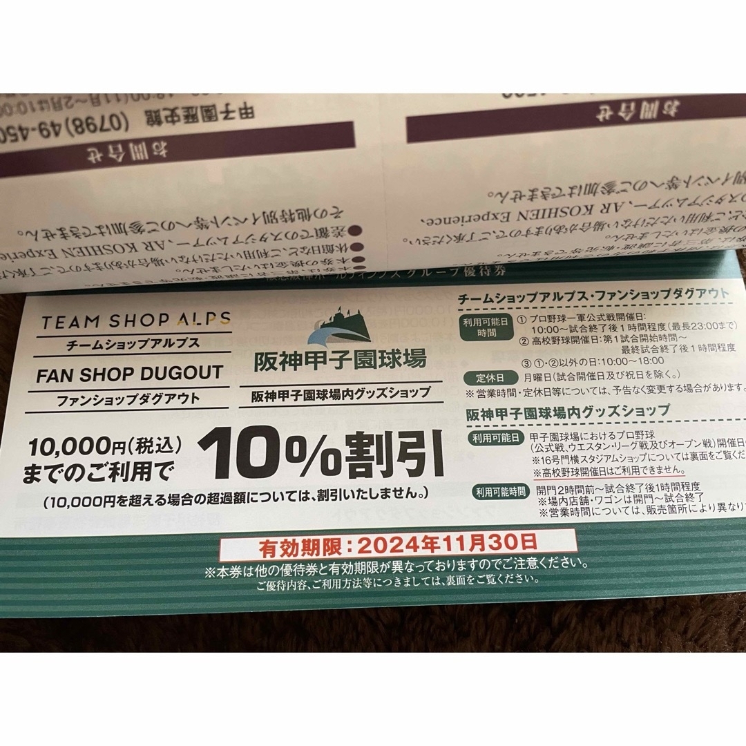 阪神タイガース(ハンシンタイガース)の阪急阪神　株主優待　グループ優待券　1冊 チケットの優待券/割引券(その他)の商品写真