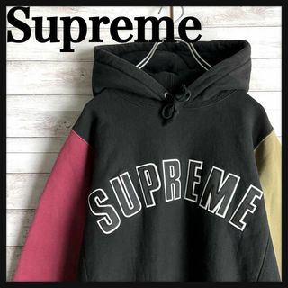 シュプリーム(Supreme)の8644【総柄デザイン】シュプリーム☆アーチロゴ人気モデルパーカー　美品(パーカー)