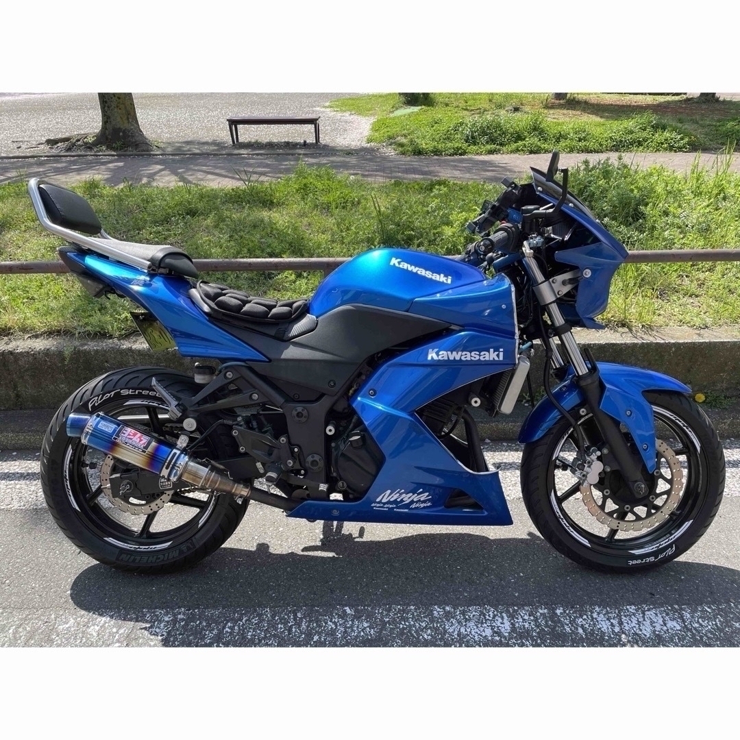 カワサキ(カワサキ)の【ネイキッド仕様】Kawasaki NINJA250R 走行2万/新品前後タイヤ 自動車/バイクのバイク(車体)の商品写真