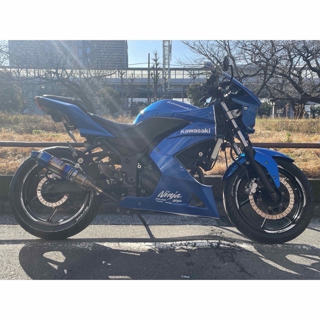 カワサキ(カワサキ)の【ネイキッド仕様】Kawasaki NINJA250R 走行2万/新品前後タイヤ 自動車/バイクのバイク(車体)の商品写真