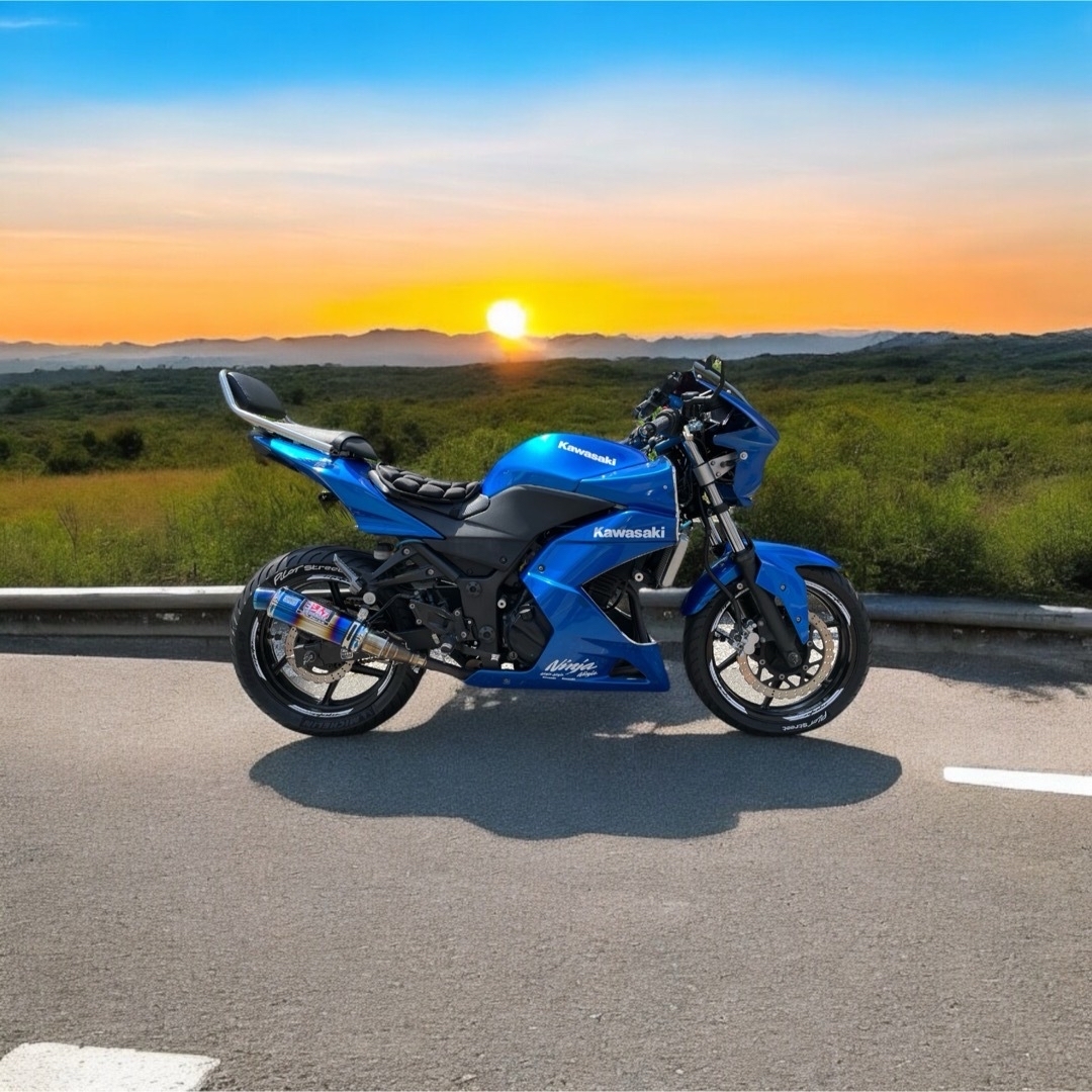 カワサキ(カワサキ)の【ネイキッド仕様】Kawasaki NINJA250R 走行2万/新品前後タイヤ 自動車/バイクのバイク(車体)の商品写真