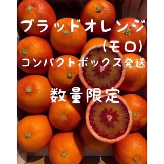 愛媛県産みかん ブラッドオレンジ(モロ)コンパクトBOX発送 柑橘 果物 ミカン(フルーツ)