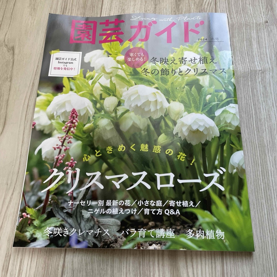 園芸ガイド 2024年 01月号 [雑誌] エンタメ/ホビーの雑誌(その他)の商品写真