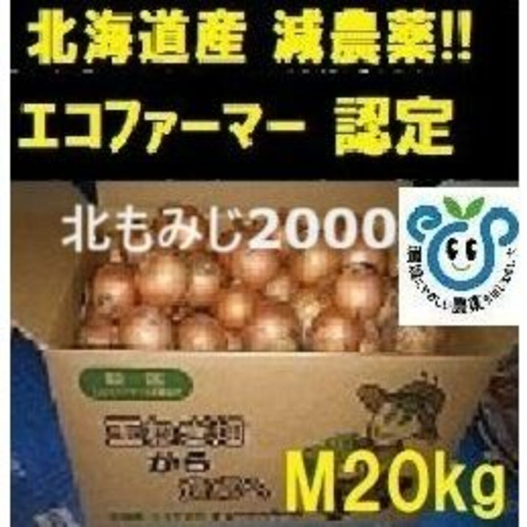 北海道産 玉ねぎ 20kg  Mサイズ  北もみじ2000 食品/飲料/酒の食品(野菜)の商品写真