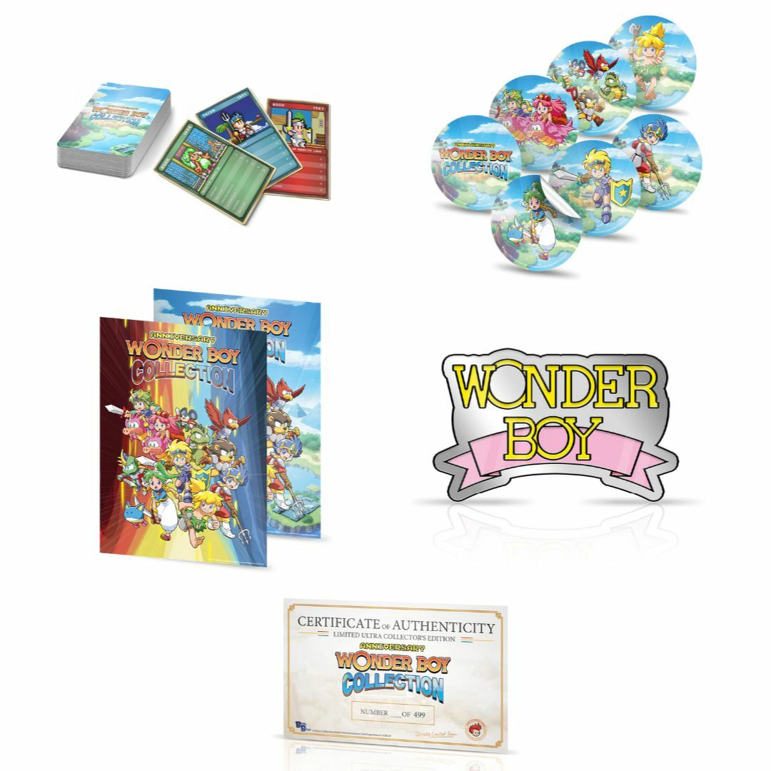 PlayStation4(プレイステーション4)のWONDER BOY ANNIVERSARY COLLECTION UCE エンタメ/ホビーのゲームソフト/ゲーム機本体(家庭用ゲームソフト)の商品写真