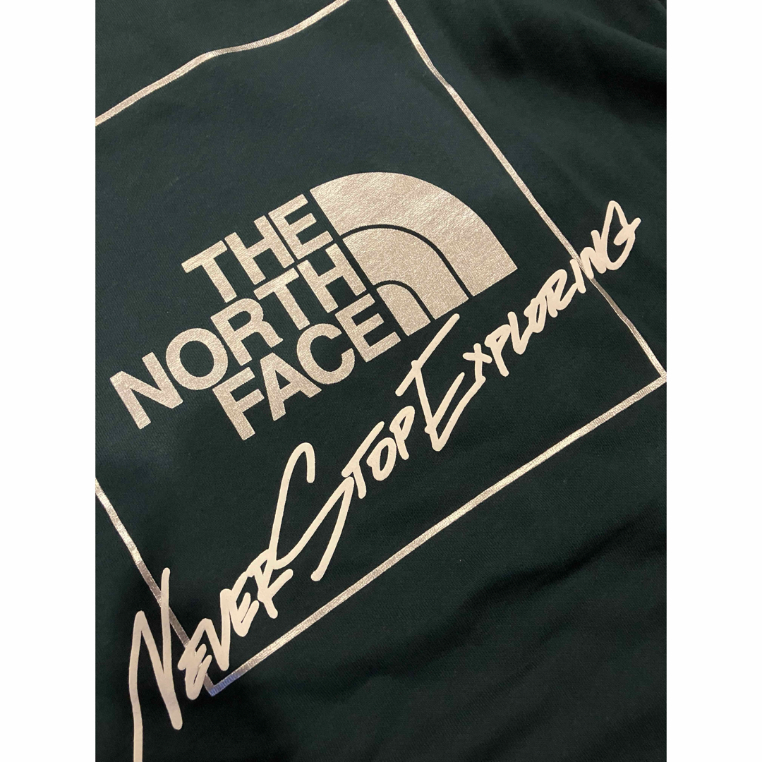 THE NORTH FACE(ザノースフェイス)のTHE NORTH FACE パーカー プルオーバー 大きいsize XL メンズのトップス(パーカー)の商品写真