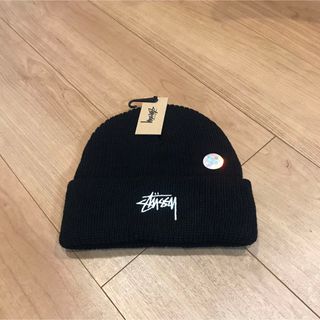 ステューシー(STUSSY)のStussy ステューシー　ニット帽 (ニット帽/ビーニー)