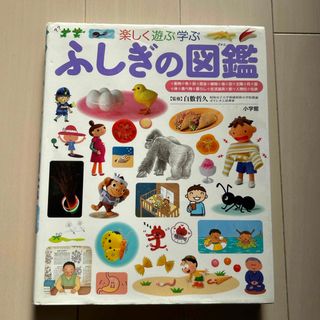 ショウガクカン(小学館)の小学館　ふしぎの図鑑(絵本/児童書)