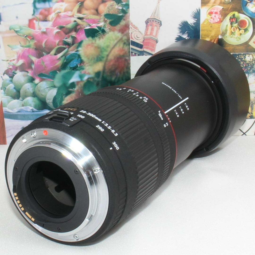 ❤️標準から超望遠までこれ１本でOK❤️シグマ 28-300mm キャノン用カメラ