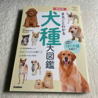 改訂版 まるごとわかる犬種大図鑑(その他)