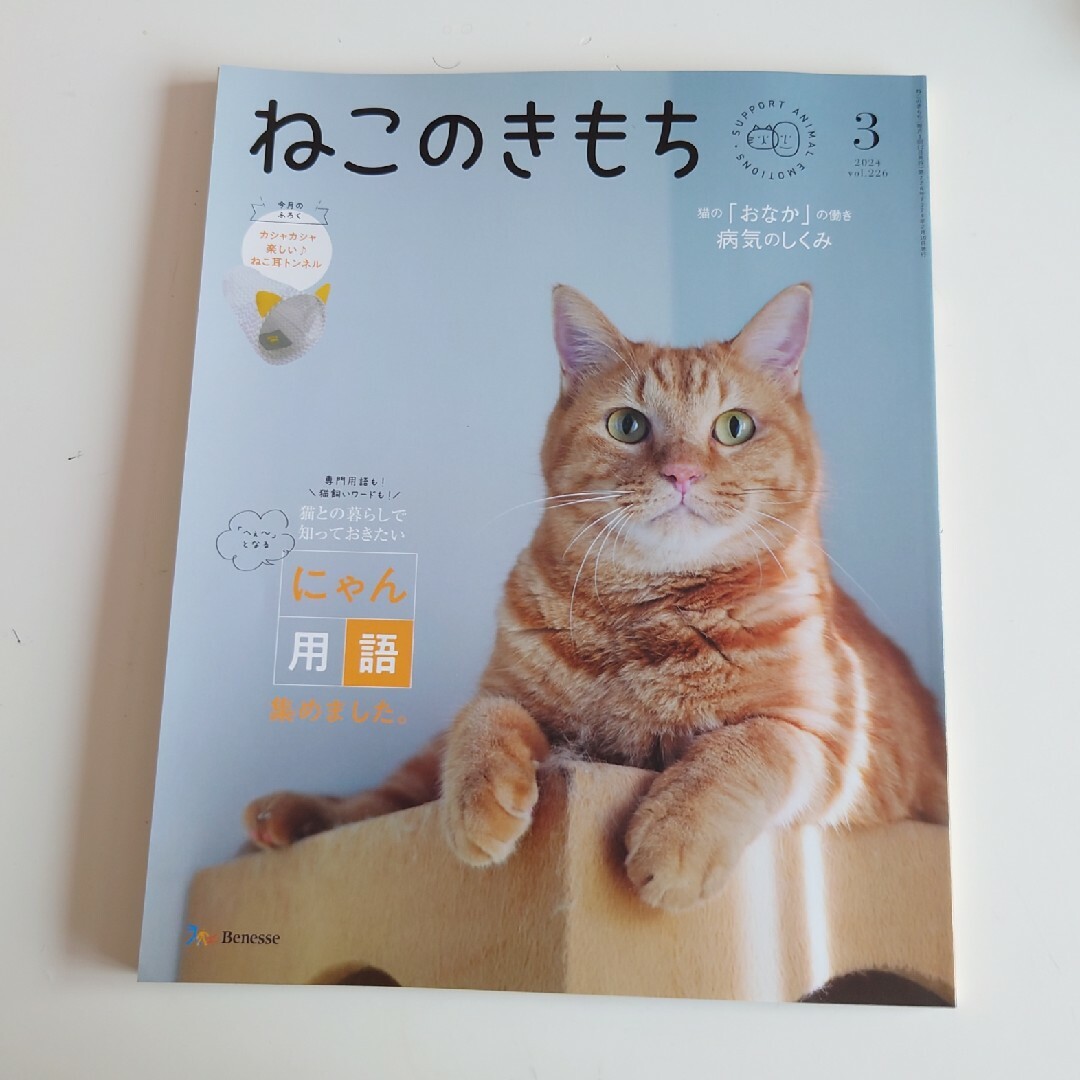 Benesse(ベネッセ)のねこのきもち2023/12、2024/1.2.3月号　付録付き エンタメ/ホビーの雑誌(専門誌)の商品写真