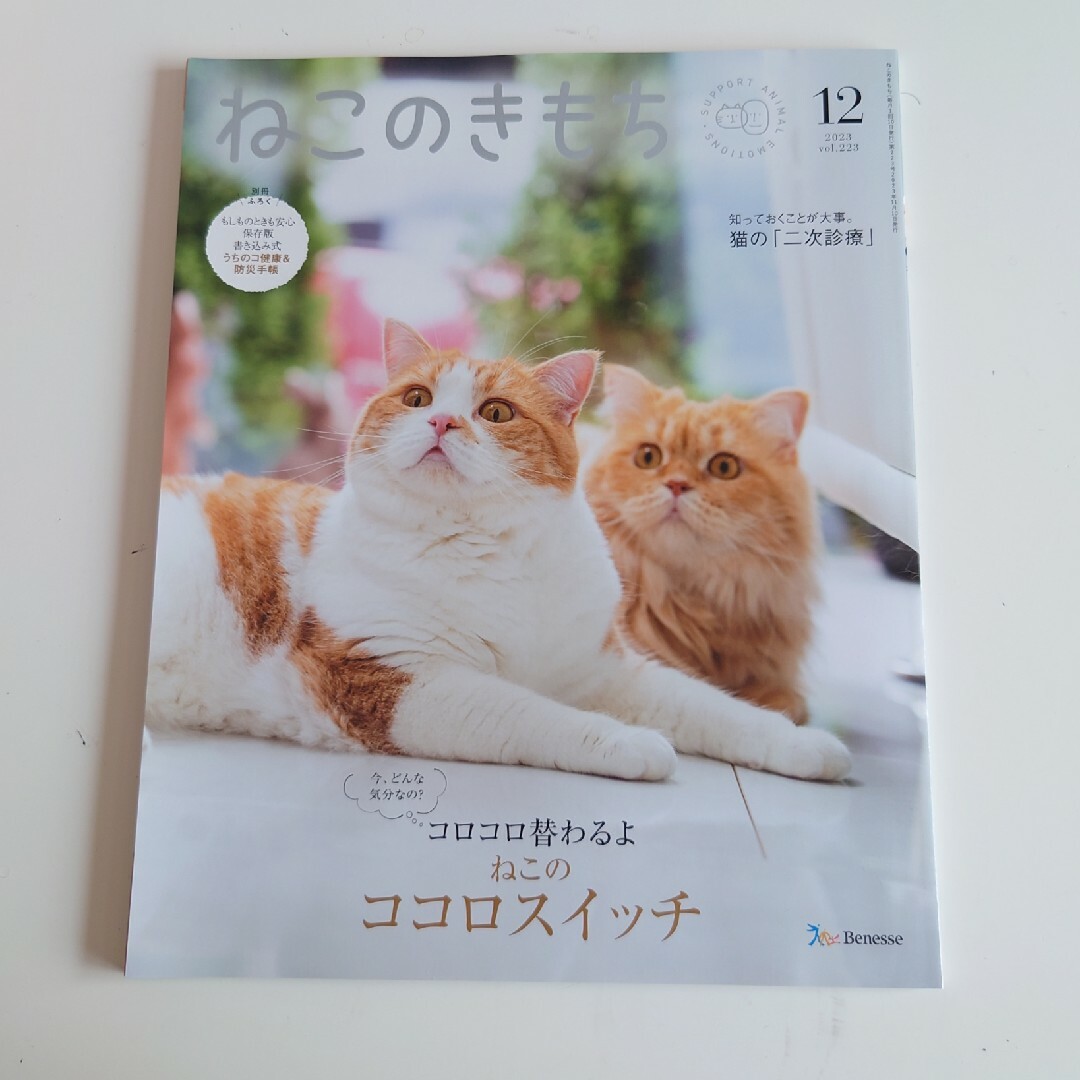 Benesse(ベネッセ)のねこのきもち2023/12、2024/1.2.3月号　付録付き エンタメ/ホビーの雑誌(専門誌)の商品写真