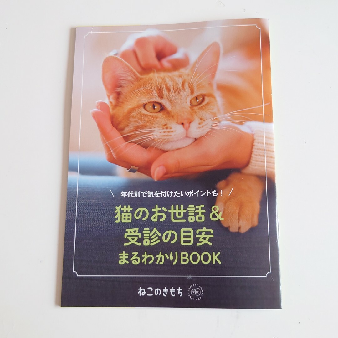 Benesse(ベネッセ)のねこのきもち2023/12、2024/1.2.3月号　付録付き エンタメ/ホビーの雑誌(専門誌)の商品写真