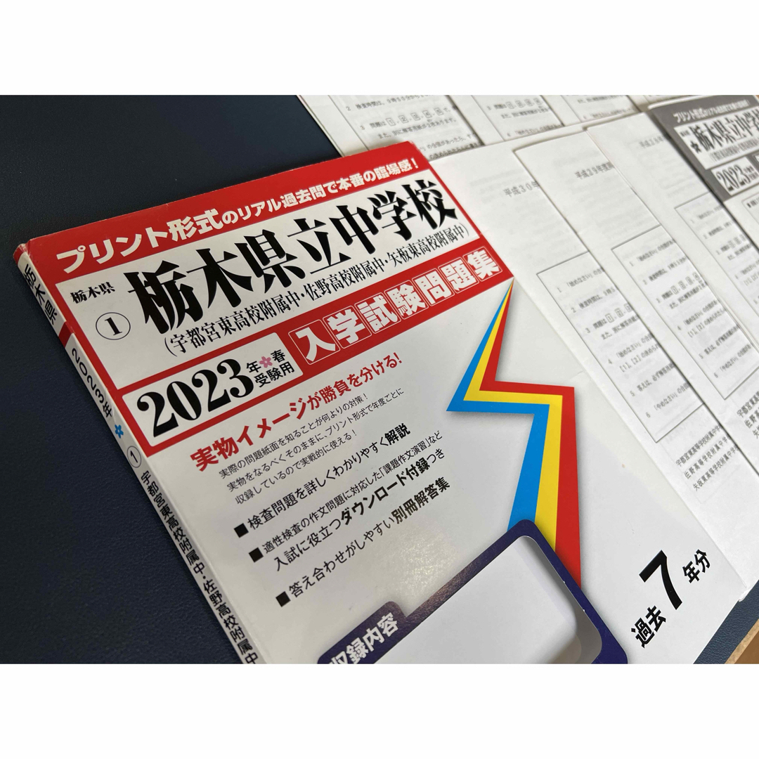 栃木県立中学校（宇都宮東附属中・佐野附属中・矢板東附属中）入学試験問題集　過去問 エンタメ/ホビーの本(語学/参考書)の商品写真