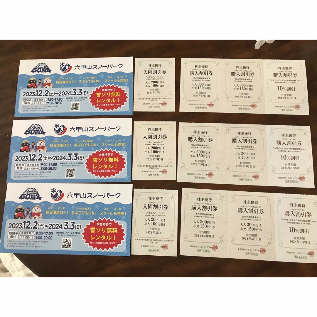 阪急阪神HD 株主優待 六甲山スノーパーク 六甲山スノーランド チケットの施設利用券(スキー場)の商品写真