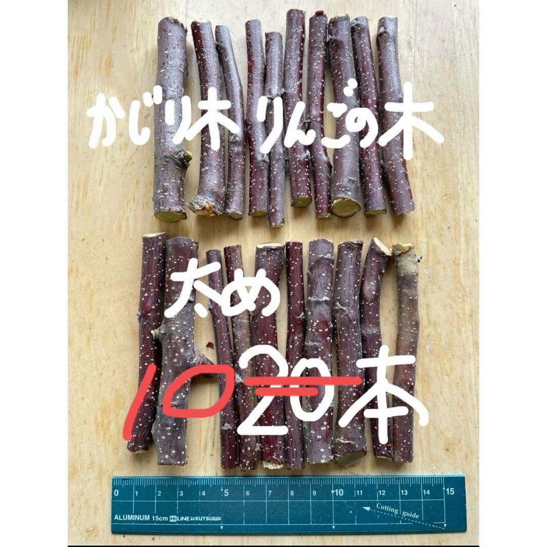 【太め10本】(2/3剪定)りんごの小枝10cm (生枝かじり木)岩手県産減農薬 その他のペット用品(その他)の商品写真