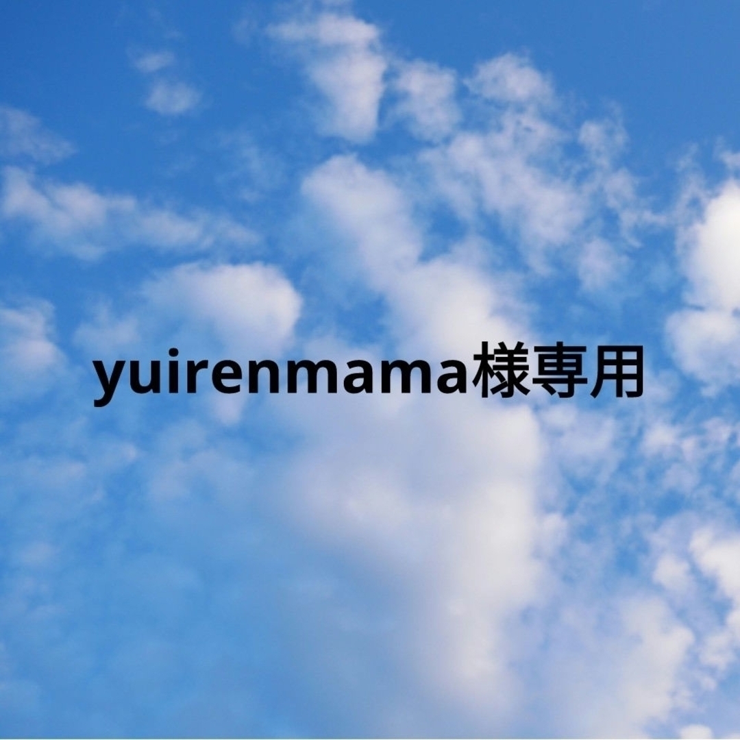 yuirenmama様専用　オーダーハンドメイド　ランチョンマットetc キッズ/ベビー/マタニティのこども用バッグ(体操着入れ)の商品写真