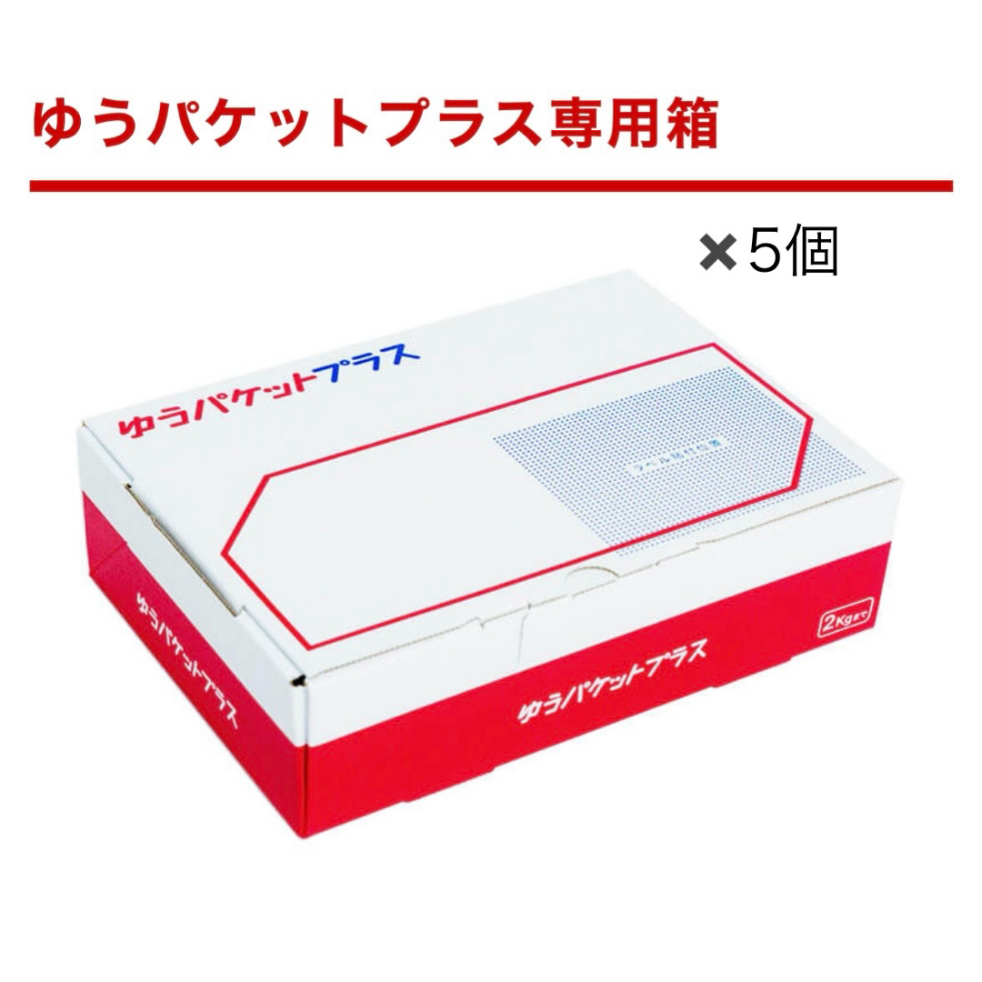 ゆうパケットプラス専用箱　5個セット インテリア/住まい/日用品のオフィス用品(ラッピング/包装)の商品写真