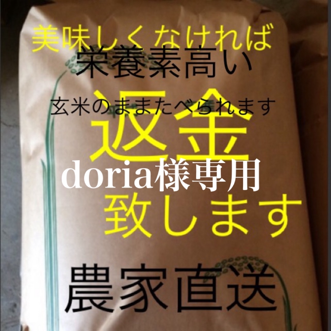 doria　無農薬　純こしひかり10㎏ 玄米
