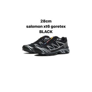 サロモン(SALOMON)のsalomon xt6 goretex 黒　28cm(スニーカー)