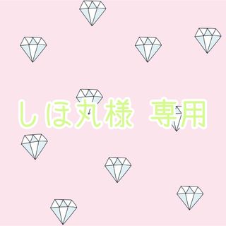 【しほ丸様 専用】(シングルカード)