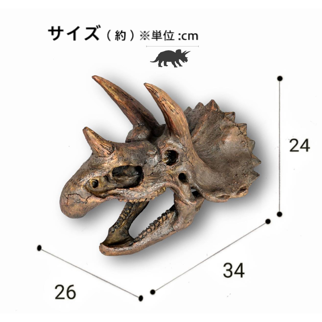 海洋堂 - トリケラトプス インテリア オブジェ 恐竜の化石 海洋堂 - トリケラトプス インテリア オブジェ 恐竜の化石