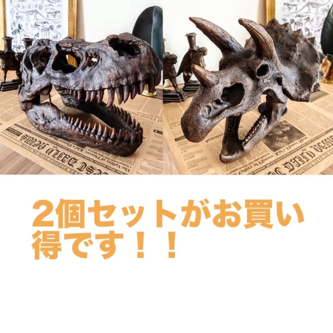 海洋堂 - トリケラトプス インテリア オブジェ 恐竜の化石 海洋堂 - トリケラトプス インテリア オブジェ 恐竜の化石