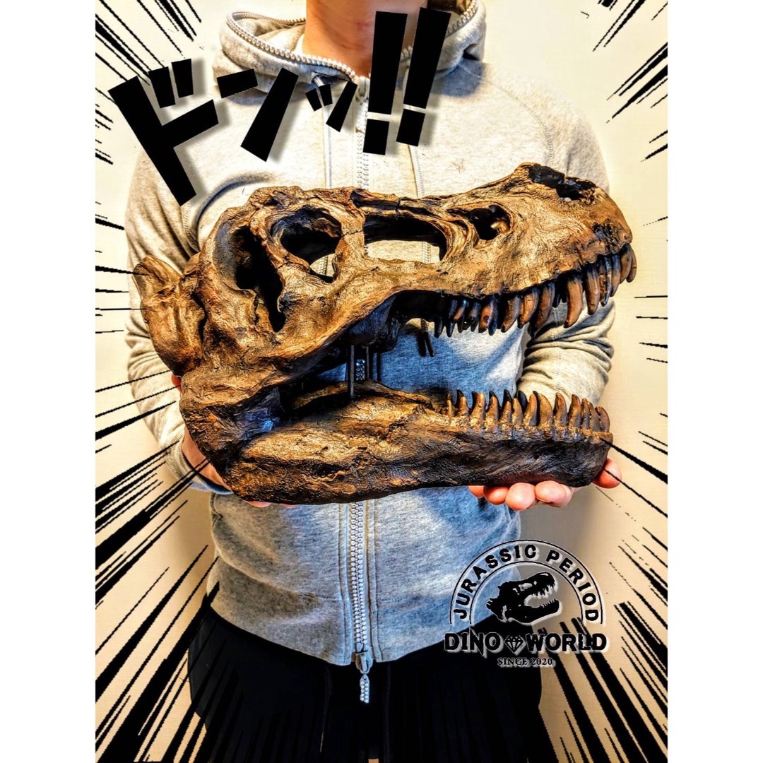海洋堂(カイヨウドウ)のティラノサウルス インテリア オブジェ  恐竜の化石 トリケラトプス エンタメ/ホビーのコレクション(その他)の商品写真
