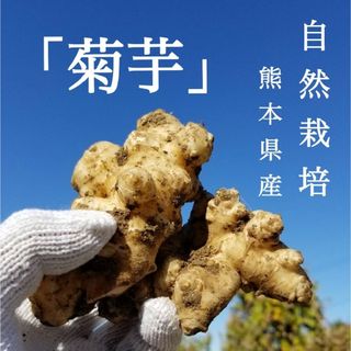 あかげのあん様専用 訳あり 新丹波黒豆 無農薬栽培 1.5キロの通販 by