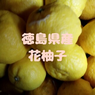 徳島県産花柚子(フルーツ)