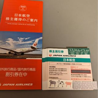 ジャル(ニホンコウクウ)(JAL(日本航空))のJAL 株主優待券 10枚 冊子付き ラクマパック(航空券)