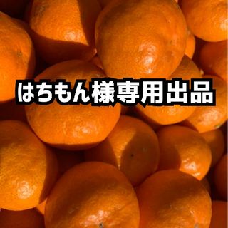 はちもん様専用出品(フルーツ)