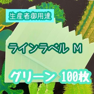 ラインラベル 中 緑 100枚 園芸カラーラベル 多肉植物 エケベリア(プランター)