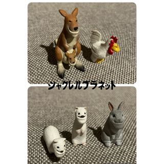 シャクレルプラネット　ガチャガチャ　カンガルー　ニワトリ　オコジョ　ウサギ(キャラクターグッズ)