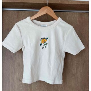 韓国　ショート丈Tシャツ　(Tシャツ(半袖/袖なし))