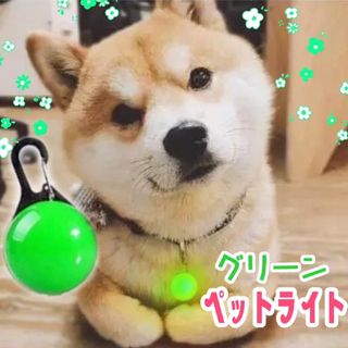 犬 猫ライト 首輪 リード 子ども  LED セーフティライト 散歩(猫)