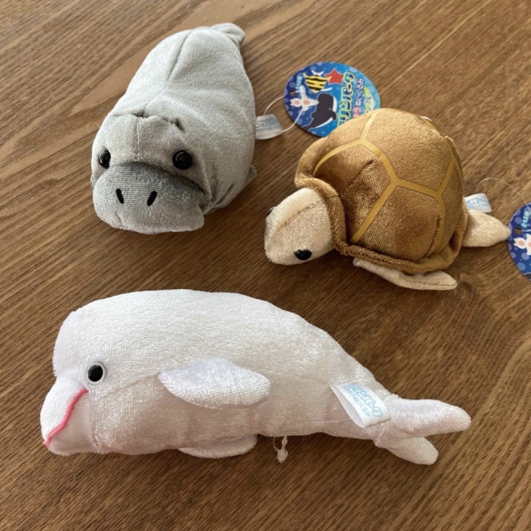 海の生き物 亀 マリンパーク キラキラぬいぐるみ - ぬいぐるみ
