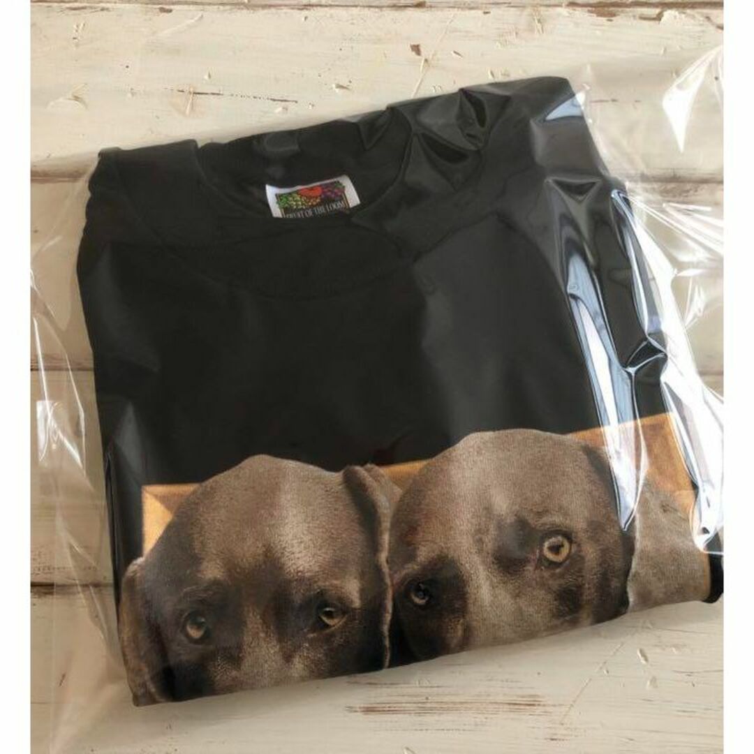 【激レア・未使用】William Wegman ウィリアム ウェグマン Tシャツ メンズのトップス(Tシャツ/カットソー(半袖/袖なし))の商品写真