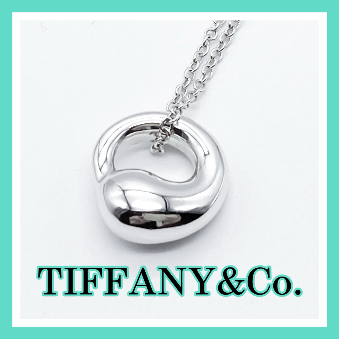 Tiffany & Co. - ティファニー エターナルサークル ネックレス