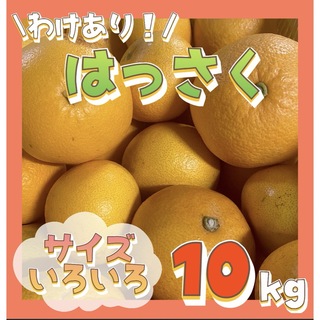 訳あり 和歌山産 八朔 10kg サイズ混合 はっさく 有田みかん 柑橘(フルーツ)