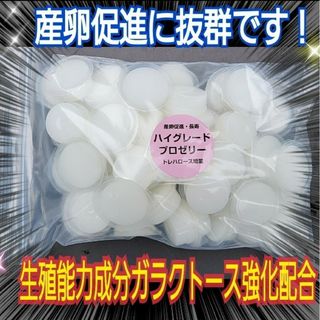 極上ハイグレードプロゼリー【50個】特殊アミノ酸強化！産卵促進・長寿・体力増進(虫類)