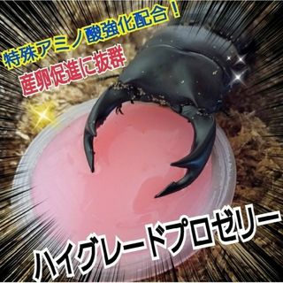 極上ハイグレードプロゼリー【100個】特殊アミノ酸強化！産卵促進・長寿・体力増進(虫類)